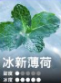 RELX悅刻Smash Go12000口拋棄式小煙|長效口數×即拆即抽免充電:圖片 2