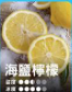RELX悅刻Smash Go12000口拋棄式小煙|長效口數×即拆即抽免充電:圖片 11